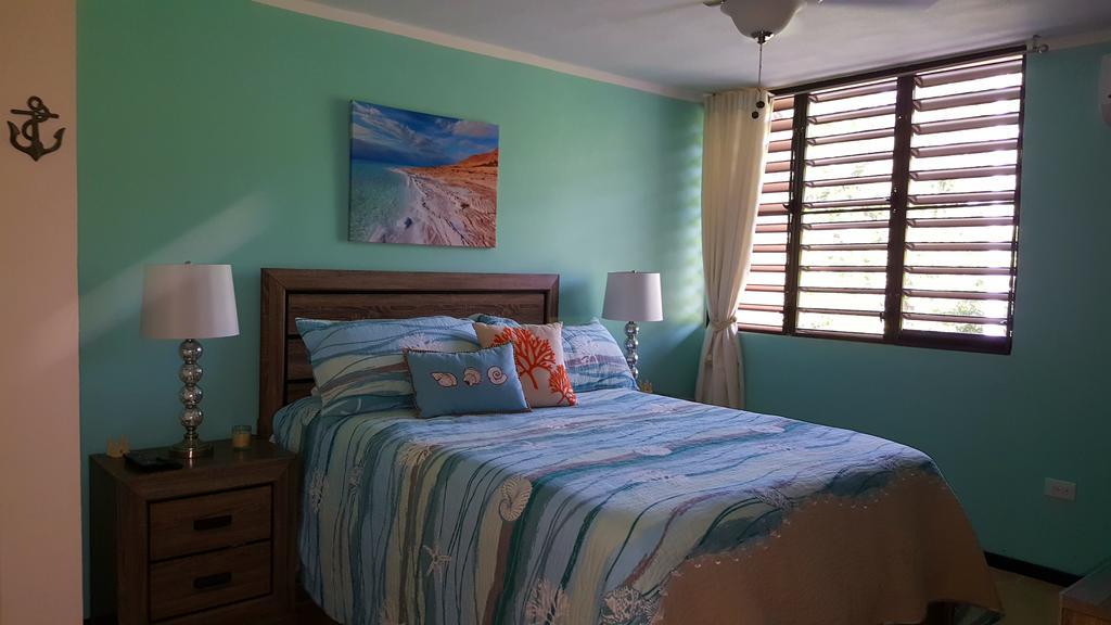 Fully Air-Conditioned Beach Front Penthouse Apartment Naguabo Buitenkant foto