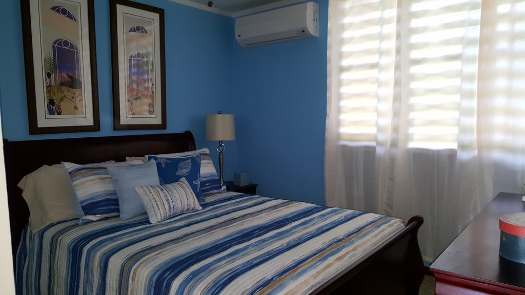 Fully Air-Conditioned Beach Front Penthouse Apartment Naguabo Buitenkant foto